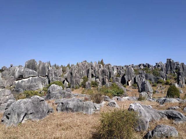 位于云南石林彝族自治县,传说中阿诗玛的故乡,石林是由喀斯特地貌形成