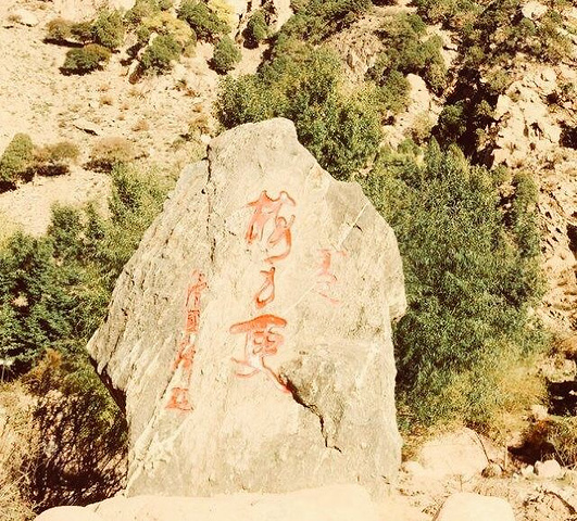 步道与观景平台