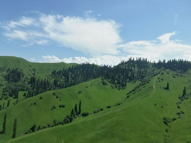 订票很方便,取票也方便_那拉提旅游风景区"的评论图片