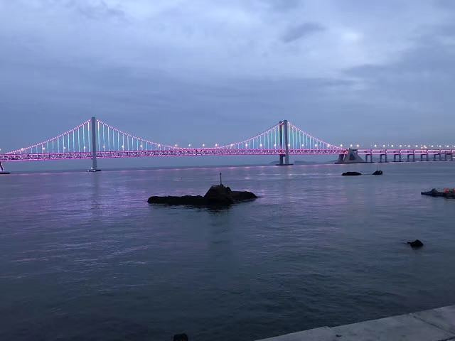 坐在海边,看着夜幕降临,看着远处的大桥不断的展示的灯光秀,喝着冰镇