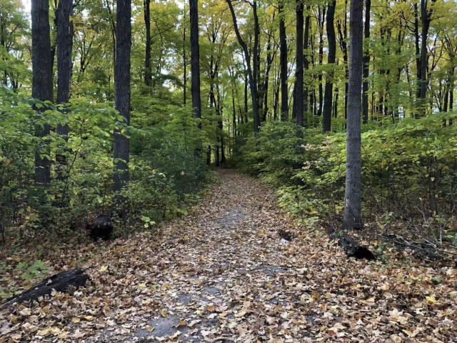 万紫千红旅游区