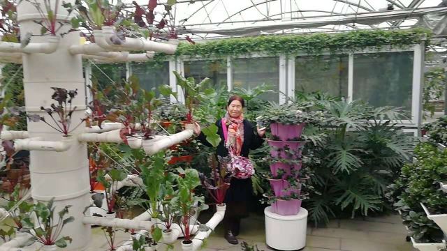 万紫千红旅游区