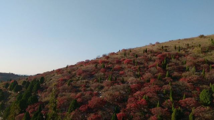 "_石门坊"的评论图片