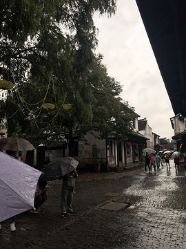 周庄张厅旅游景点攻略图