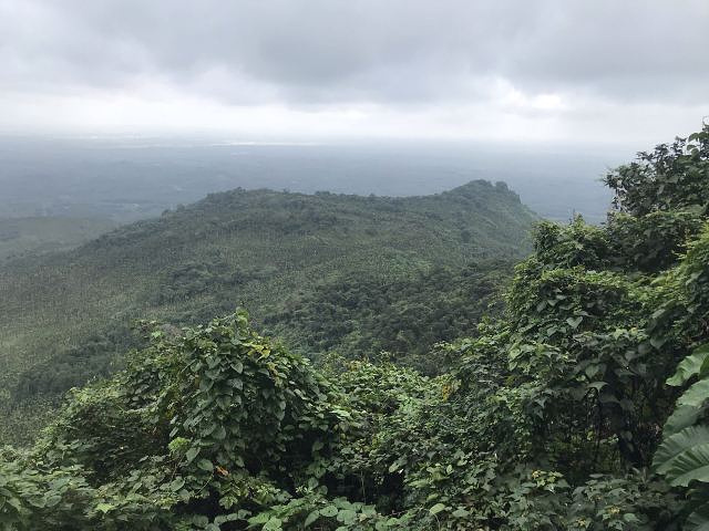 "登山后比预期的好，适合老人孩子游玩。随处的结有果实的木瓜树，孩子非常喜欢。愉快的出行_海南白石岭旅游区"的评论图片