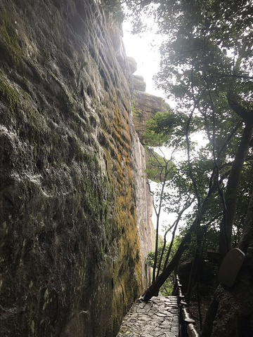 "登山后比预期的好，适合老人孩子游玩。随处的结有果实的木瓜树，孩子非常喜欢。愉快的出行_海南白石岭旅游区"的评论图片