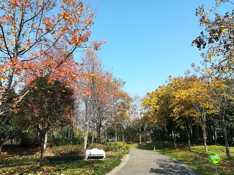 东阳花园旅游景点图片