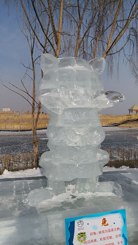 "...做的，冰雕的主题有十二生肖，还有一些学校雪雕，其实还是很不容易的，那些雪雕我看他们做的非常的棒_博斯腾湖"的评论图片