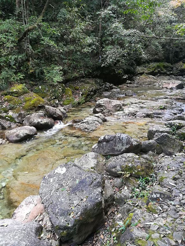 "...了温泉景区以外，有很多不同特色的景区，寿仙谷景区就是其中一个，这里蓝天碧水，空气清新，非常不错_寿仙谷"的评论图片