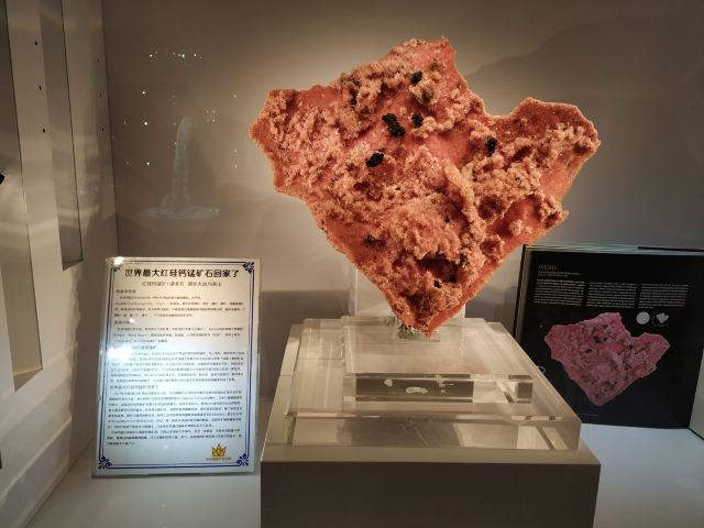 中国地质大学-逸夫博物馆