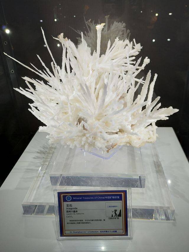 中国地质大学-逸夫博物馆