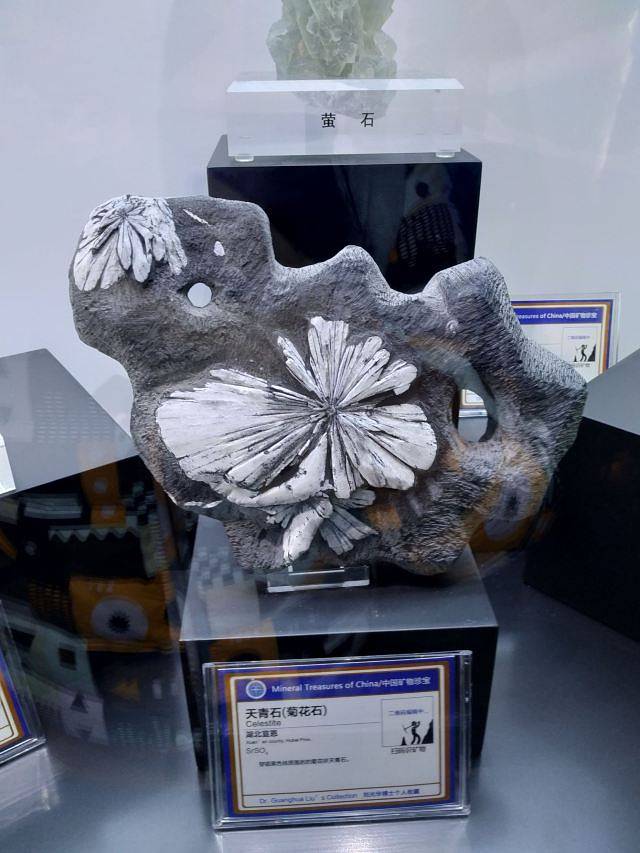 中国地质大学-逸夫博物馆