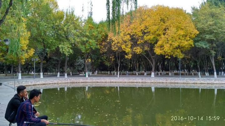 "...站，很大，人不多，秋天去更漂亮，有两个湖，树叶部分黄了，部分还是绿的，在秋日阳光照射下，特别美_中山公园"的评论图片