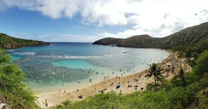 "是来夏威夷的游客最喜欢去的潜水的地方。水浅，浪小，鱼多，风景美丽，那里有各种天然的珊瑚礁石和热带鱼类_恐龙湾"的评论图片