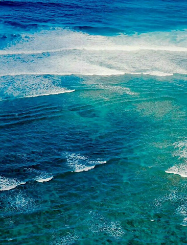 "是来夏威夷的游客最喜欢去的潜水的地方。水浅，浪小，鱼多，风景美丽，那里有各种天然的珊瑚礁石和热带鱼类_恐龙湾"的评论图片