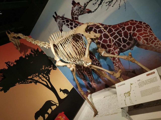 生命奥秘博物馆