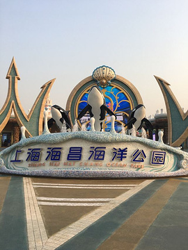 上海海昌海洋公园旅游景点攻略图