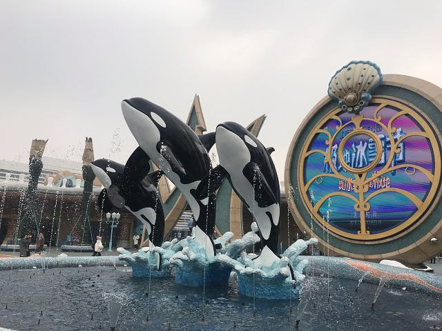 "门口处的景色就非常好，适合拍照留念，喷水的海豚，可爱至极。挺有意思&#x0A;建议冬季戴口罩＋手套_上海海昌海洋公园"的评论图片