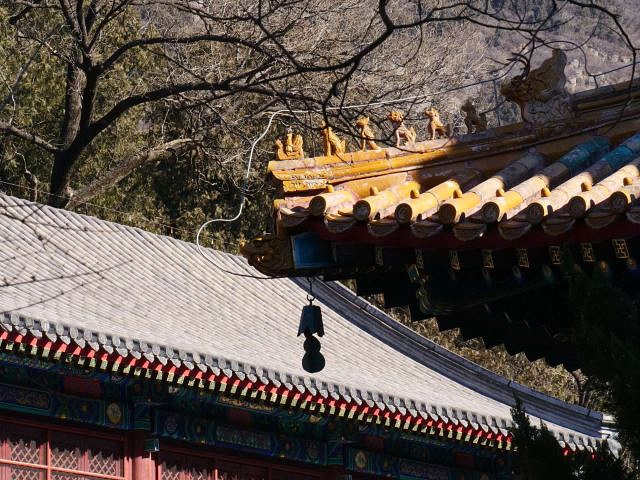 "近两年来，北京市园林绿化、文化旅游和体育部门围绕西山永定河、长城、大运河三个文化带&#x20_西山"的评论图片