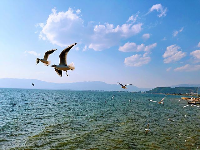 抚仙湖景色优美,别具一格.,多么美丽壮观的画面!