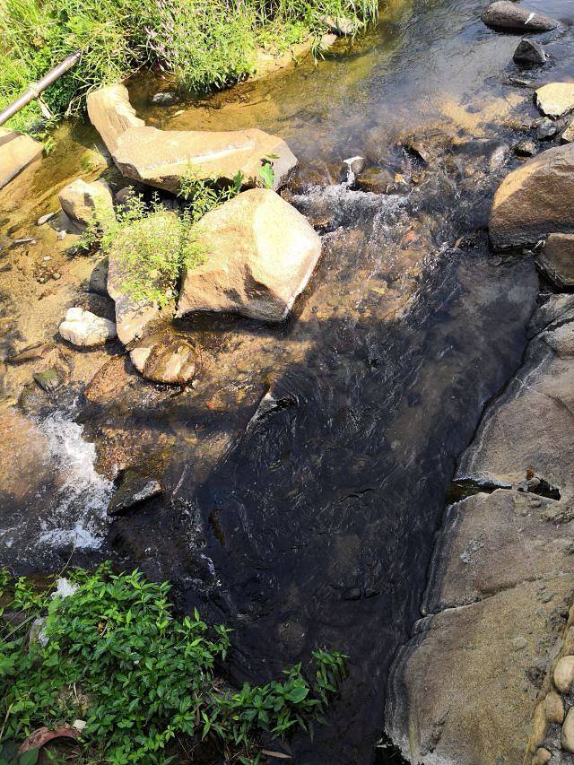 七仙瑶池野溪温泉