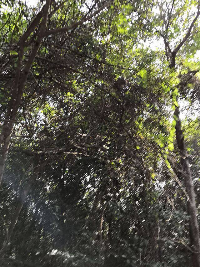 七仙瑶池野溪温泉