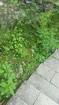 济公故居旅游景点攻略图