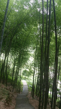 济公故居旅游景点攻略图