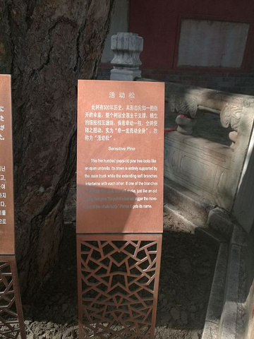 "戒台寺是北京最有名的寺庙之一，她的建庙寺比北京城还早，有着先有戒台后有北京之说，目前这里正在举..._戒台寺"的评论图片