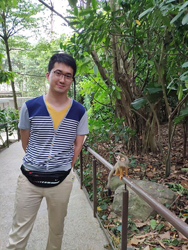 新加坡动物园旅游景点攻略图