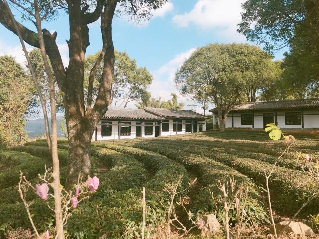 中华普洱茶博览苑