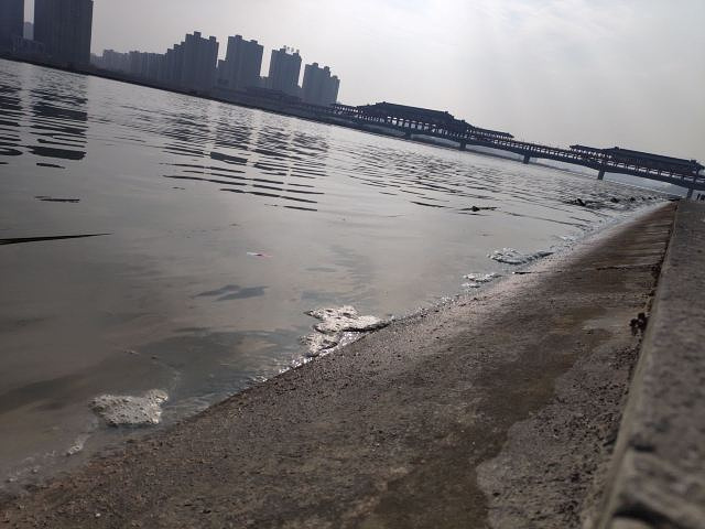 "_咸阳湖景区"的评论图片