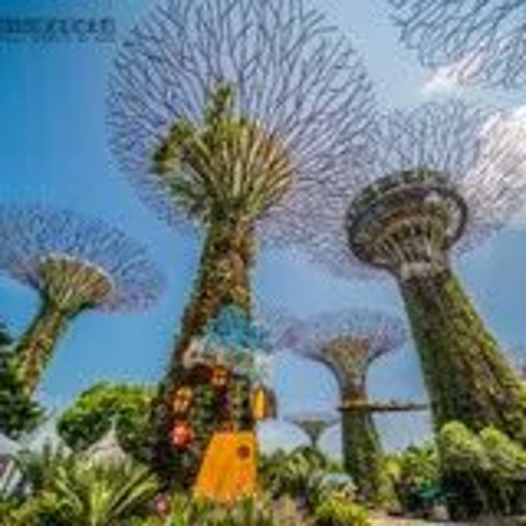 "新加坡的滨海湾花园是去新加坡的必去景点之一，这里是植物的天堂。花园也有很多休息的地方，十分人性化_新加坡滨海湾花园"的评论图片