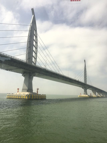 "_港珠澳大桥游"的评论图片