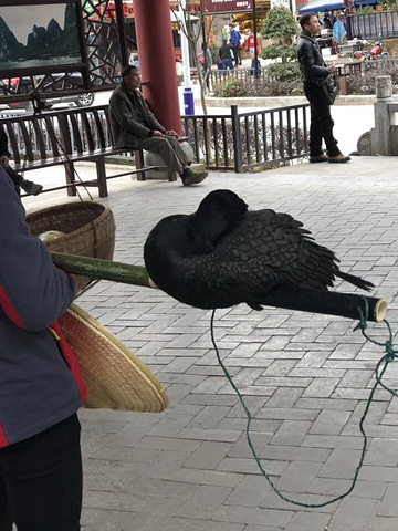 "据说最好是阴雨天，江上烟波浩渺，群山若隐若现，雨幕似轻纱笼罩江山之上，极像一幅幅泼墨山水画…可..._雁山园"的评论图片