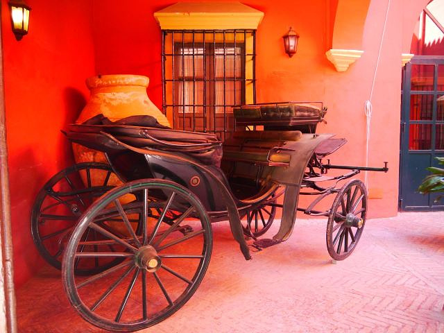 "逛塞维利亚老城的，其中一个方式，是乘坐马车，在老城区乘坐嘚嘚的马车，特别有一种穿越回几百年的感觉_塞维利亚大教堂"的评论图片