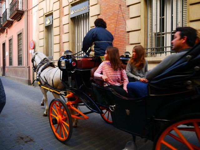 "逛塞维利亚老城的，其中一个方式，是乘坐马车，在老城区乘坐嘚嘚的马车，特别有一种穿越回几百年的感觉_塞维利亚大教堂"的评论图片