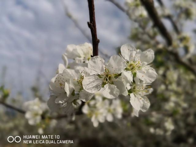 万绿湖·万绿谷度假区