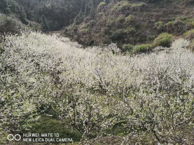 万绿湖·万绿谷度假区