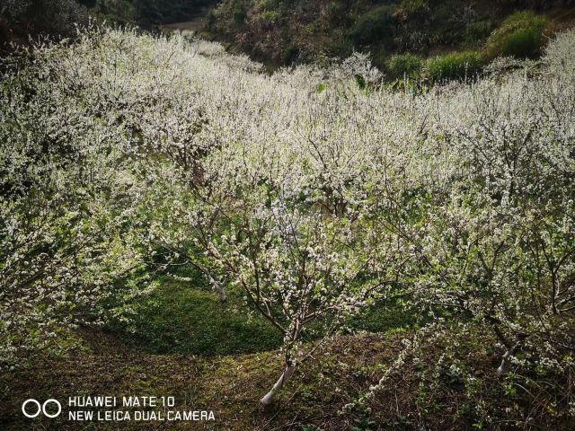 万绿湖·万绿谷度假区