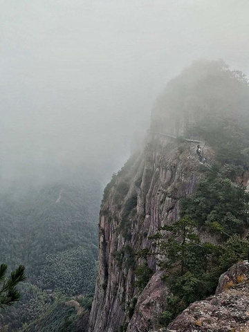 "_神仙居"的评论图片