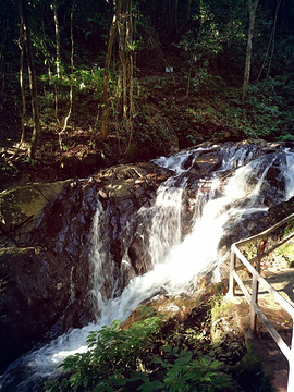 莫里热带雨林景区旅游景点攻略图