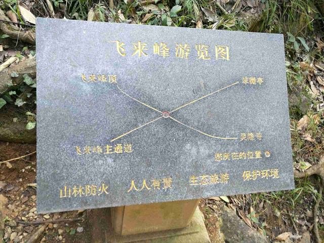 "_飞来峰"的评论图片