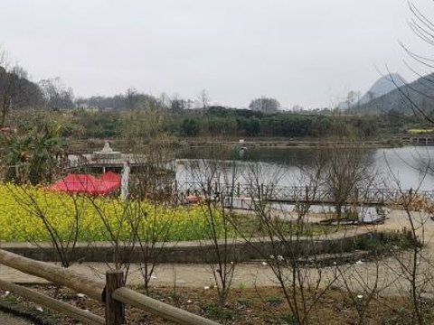 贞丰三岔河旅游景点图片