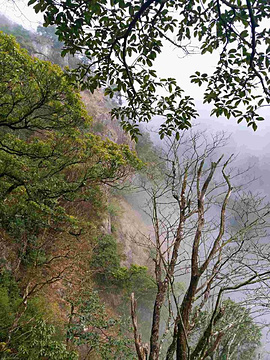 清远金子山原生态旅游风景区旅游景点攻略图