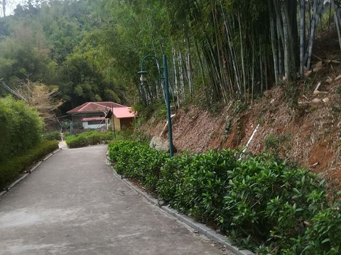 惠州怡情谷温泉度假村旅游景点图片