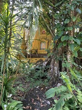 莫里热带雨林景区旅游景点攻略图