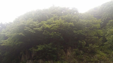 神农顶风景区旅游景点攻略图