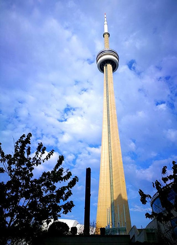 "...标建筑，电视塔整体非常的气派，很高大的样子，电视塔夜间有漂亮的灯光表演，尖尖的塔顶也很适合拍照_加拿大国家电视塔"的评论图片