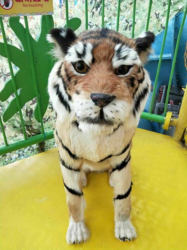 蚌埠热浪岛室内水公园